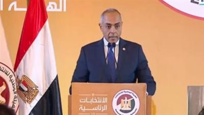 بنداري: انتخابات المرحلة الثانية في 13 محافظة وبدء التصويت بالخارج في نيوزيلندا 