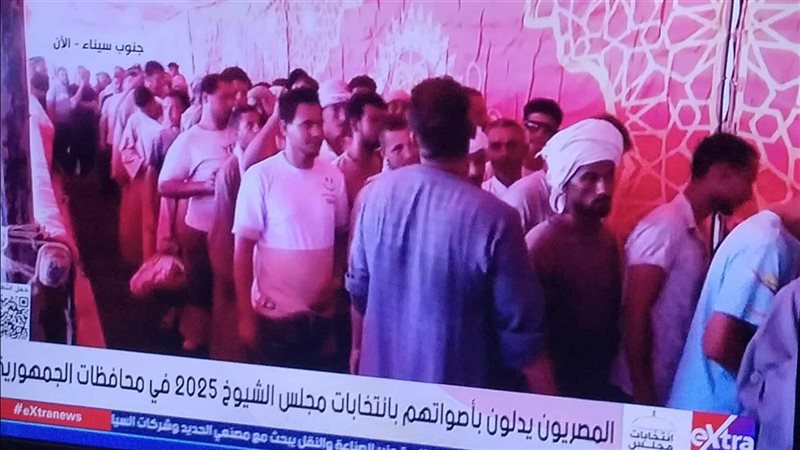 انتخابات مجلس الشيوخ