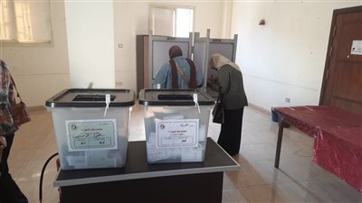 انتخابات مجلس الشيوخ، بدء التوافد على اللجان بالبحيرة ثاني أيام التصويت (صور)