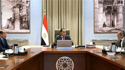 مدبولي: الآلاف من شاحنات المساعدات المصرية لغزة قرب معبر كرم أبو سالم