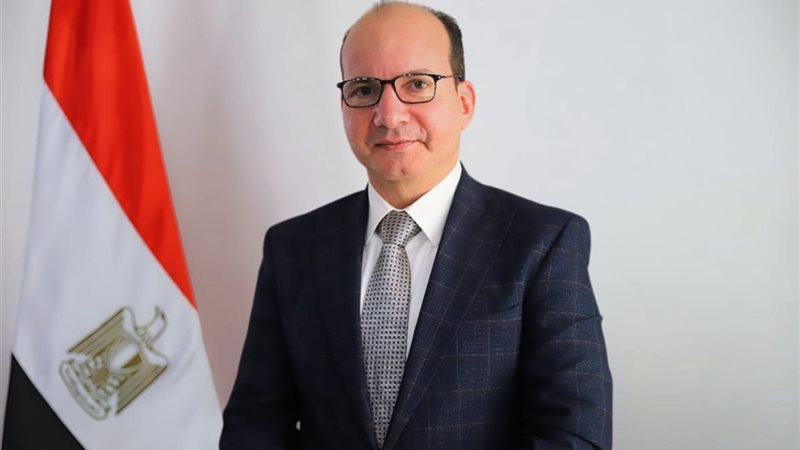 وكيل صحة الدقهاية،