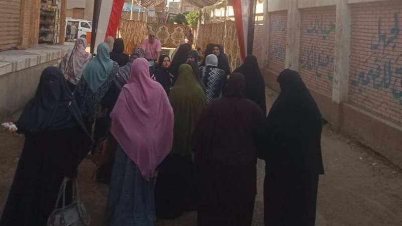 انتخبات مجلس الشيوخ