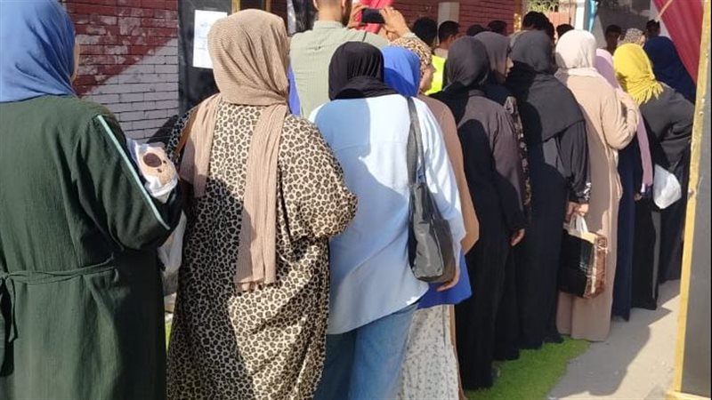 انتخابات الشيوخ بالقليوبيه،