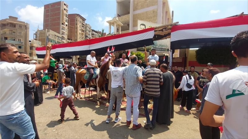 انتخابات مجلس الشيوخ