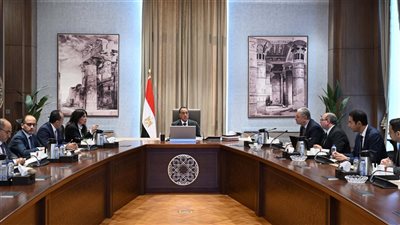 رئيس الوزراء يتابع مستجدات الموقف التنفيذي لمشروعات 