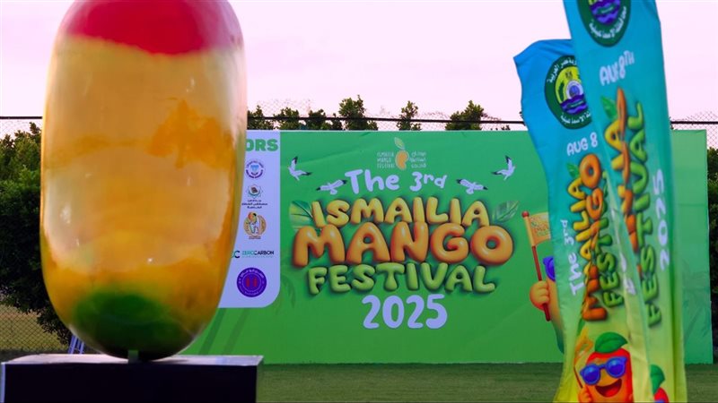 مهرجان المانجو،