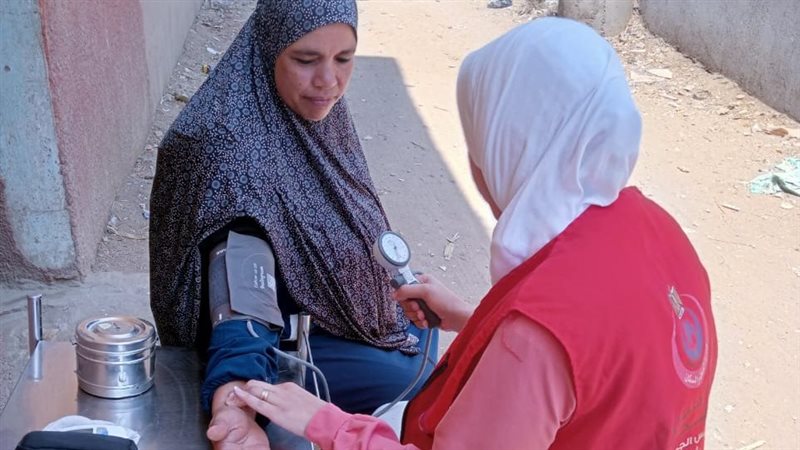 100 يوم صحة، فيتو