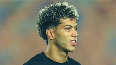 ادينا وشك، إمام عاشور يثير غضب المصريين لتجاهله مشجعا طلب التقاط صورة معه (فيديو)