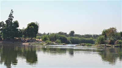 وزير الري يتفقد مجرى مياه فرع رشيد ـ 5 محافظات ويتابع أعمال إزالة ورد النيل
