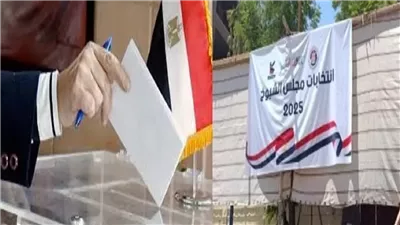 رئيس الحزب الاشتراكى يكشف أسباب ضعف تمثيل الأحزاب القديمة بانتخابات الشيوخ