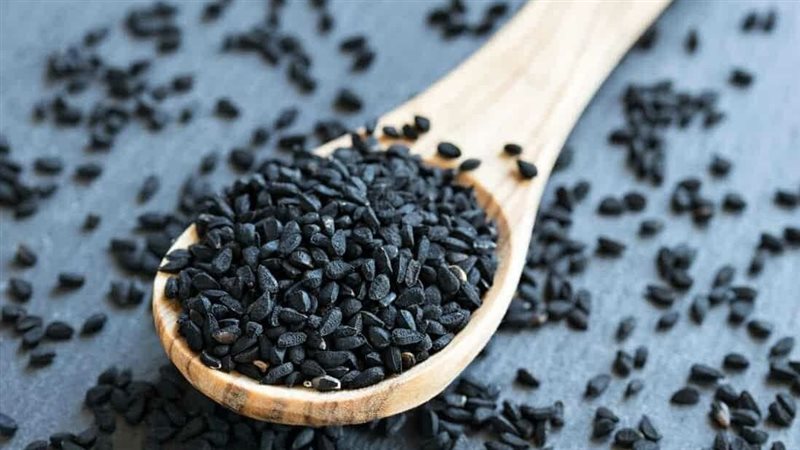 فوائد حبة البركة،