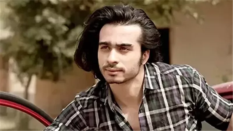  الفنان محمد عامر،