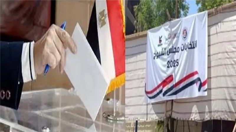 انتخابات، فيتو