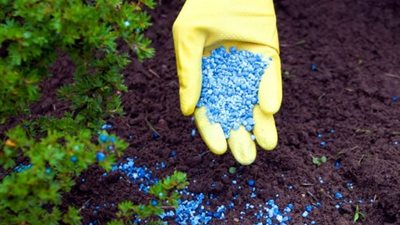 انخفاض كبير في السلفات وارتفاع نترات النشادر واليوريا، أسعار الأسمدة اليوم بالأسواق