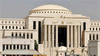 موعد تشكيل اللجان النوعية بمجلس الشيوخ الجديد 