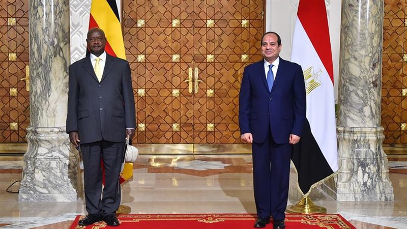 الرئيس السيسي، فيتو