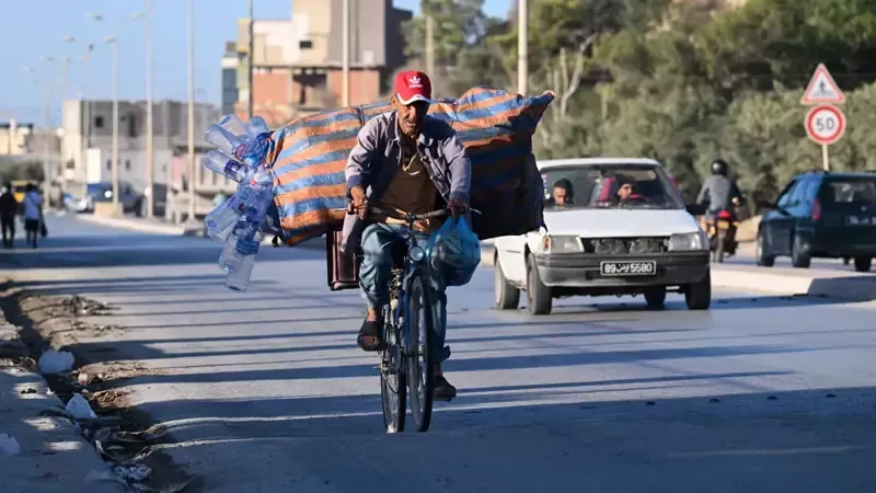 ظاهرة البرباشة في