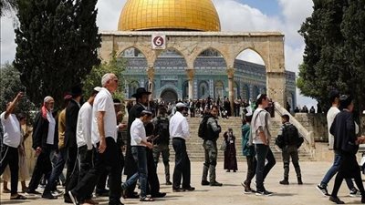 باحثة: لا يوجد دليل أثري أو تاريخي على وجود هيكل سليمان أسفل المسجد الأقصى