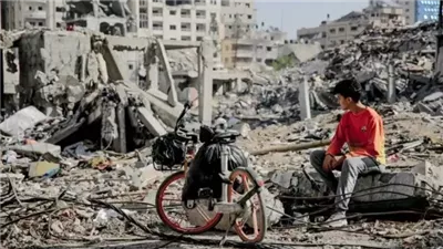 أرقام صادمة في اليوم العالمي للشباب في غزة.. 75% من شهداء فلسطين دون الثلاثين.. 16 ألف شهيد من الطلبة و768 معتقلا.. 164 ألف شاب وشابة محرومون من الدراسة.. 85% من الشباب بلا عمل 