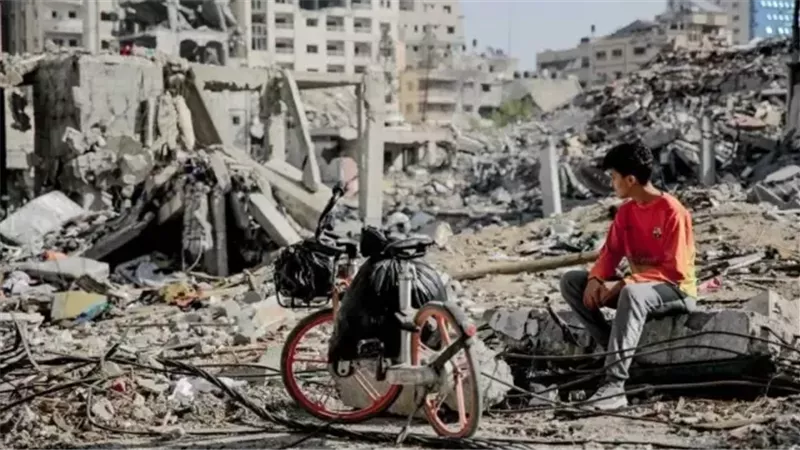 الشباب الفلسطيني
