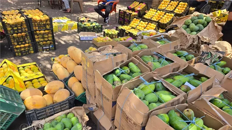 سعر المانجو اليوم