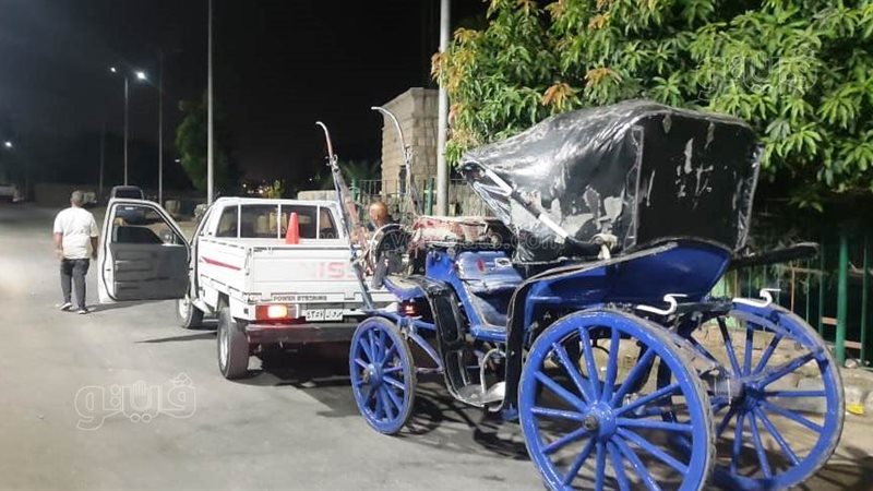 ضبط عربات حنطور مخالفة