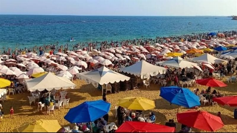 شواطئ الإسكندرية