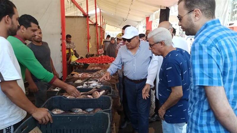 محافظ الدقهلية يتفقد