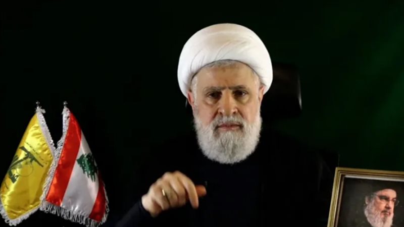 نعيم قاسم أمين عام