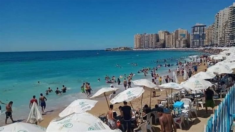 شوطئ الإسكندرية