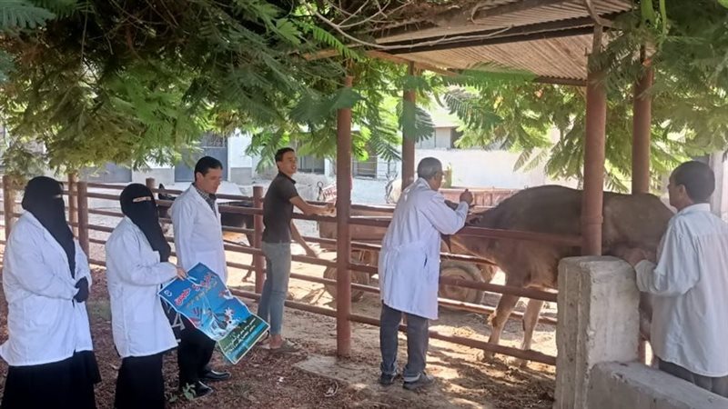 فيروس الحمى القلاعية