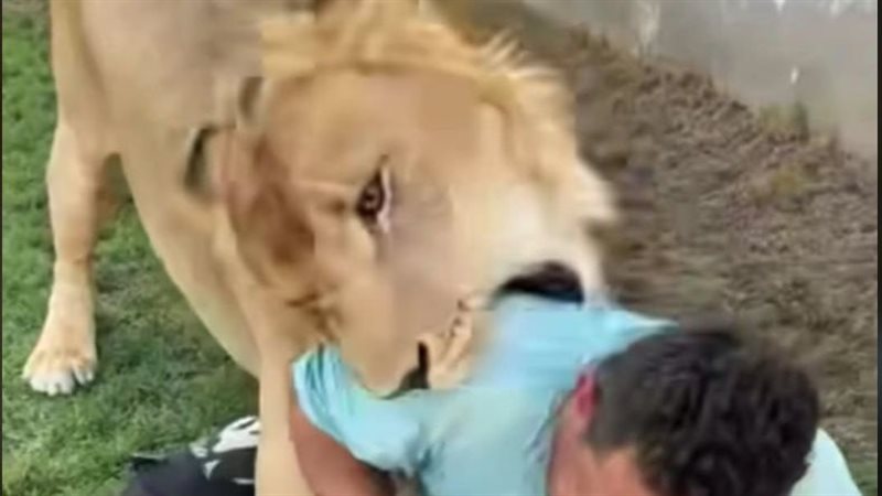 عامل مصري فى ليبيا،