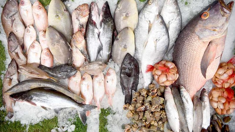 سعر السمك اليوم،