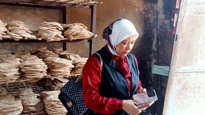 حملات تموينية بالدقهلية،