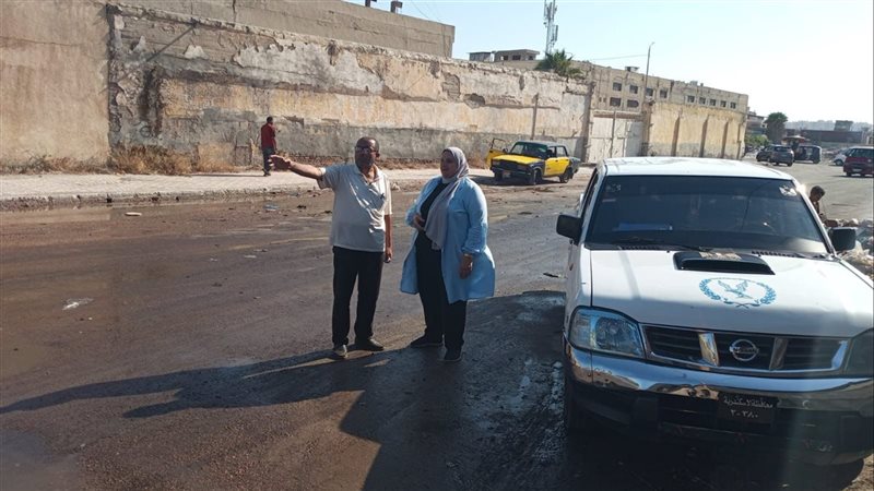 الاسكندريه 