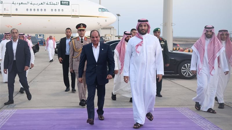 الرئيس السيسي وولي