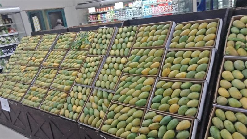 سعر المانجو اليوم