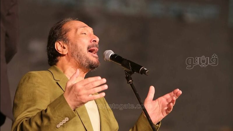 علي الحجار 