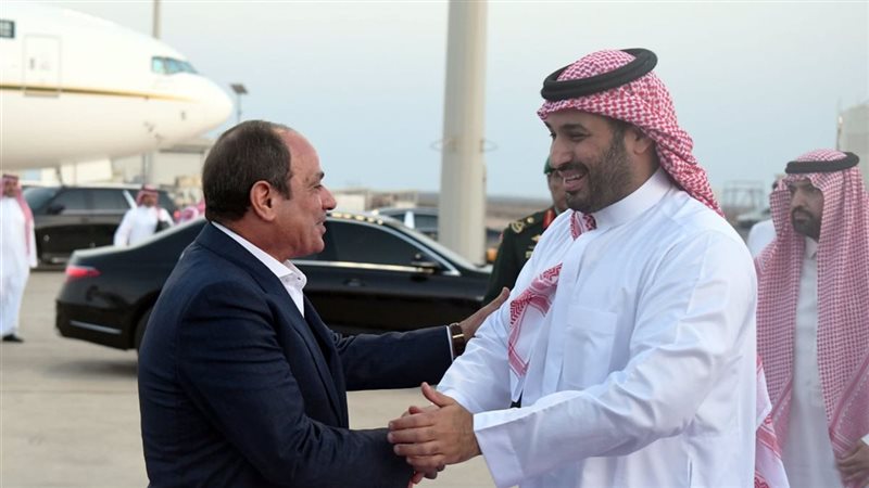 الرئيس السيسي وولى
