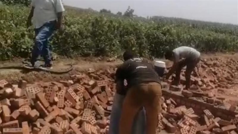 محافظ الغربية: لا