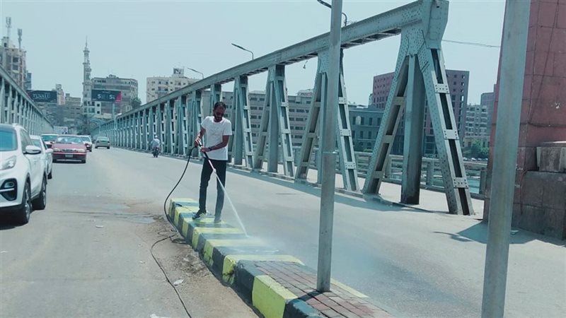 حملات نظافة بالدقهلية،
