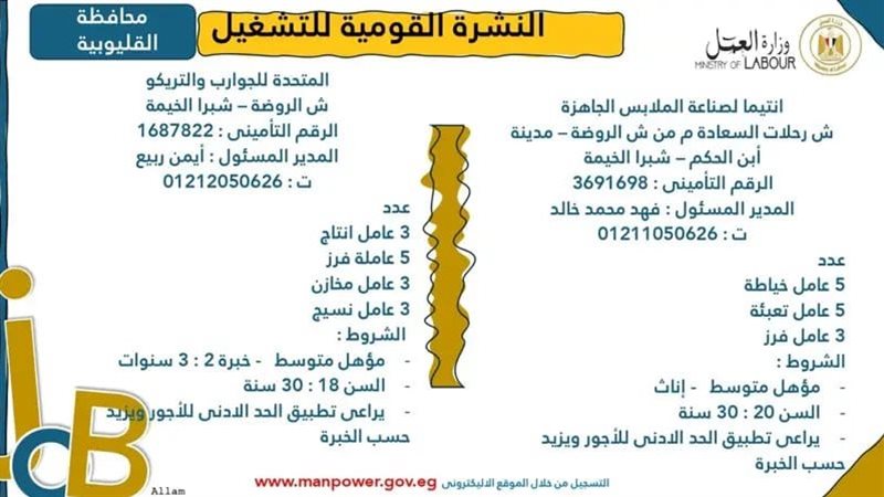 وظائف القوى العاملة