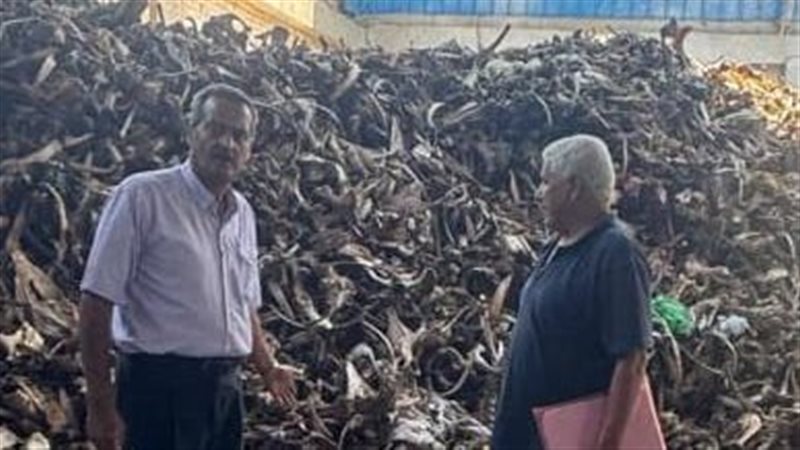 ضبط مصنع أعلاف حيوانية
