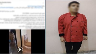 القبض على طباخ أنهى حياة قطة داخل قرية سياحية بمطروح
