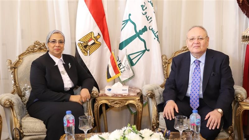 مجلس الدولة