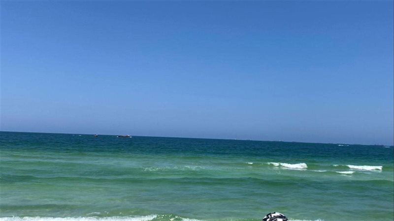 الاسكندريه 