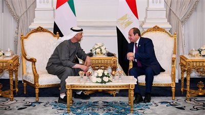  مصر والإمارات تؤكدان ضرورة التنفيذ الكامل لاتفاق وقف حرب غزة