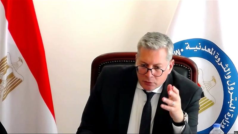المهندس كريم بدوي
