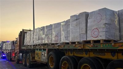 الهلال الأحمر المصري يرسل 1500 طن مساعدات غذائية وطبية إلى غزة 