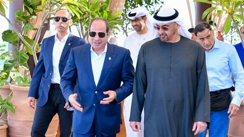 الرئيس السيسي، فيتو